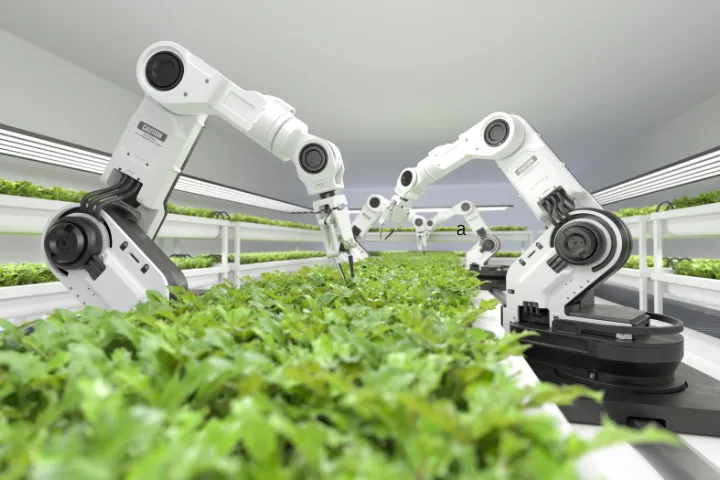 Agriculture & Agritech